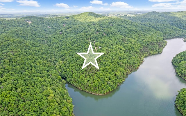 0 Cornerstone Pkwy, Allons, TN 38570
