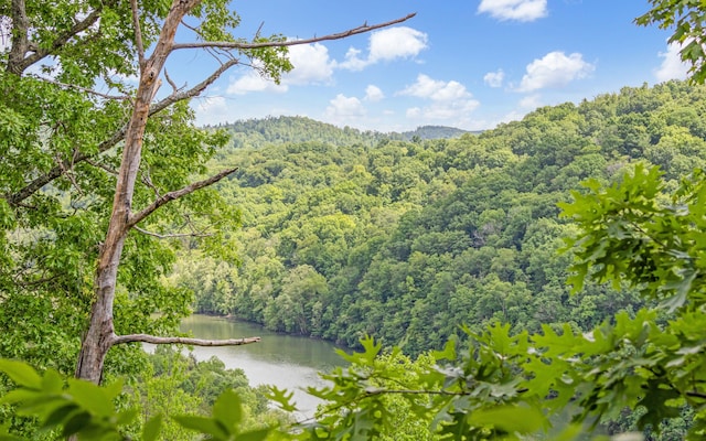 0 Cornerstone Pkwy, Allons, TN 38570