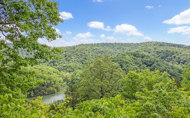 0 Cornerstone Pkwy, Allons, TN 38570