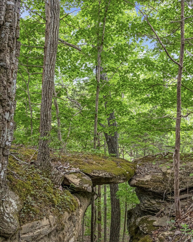 0 Cornerstone Pkwy, Allons, TN 38570