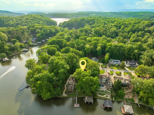 drone / aerial view featuring a water view and a forest view