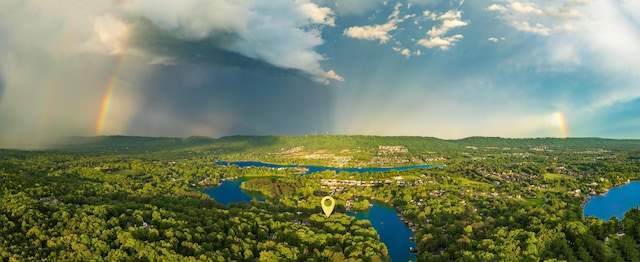 drone / aerial view featuring a water view and a view of trees