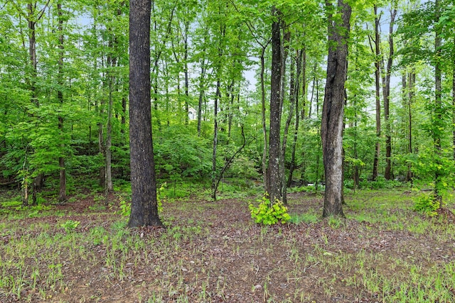 7258 Grey Hawk Trl, Signal Mountain, TN 37377 - view of woods
