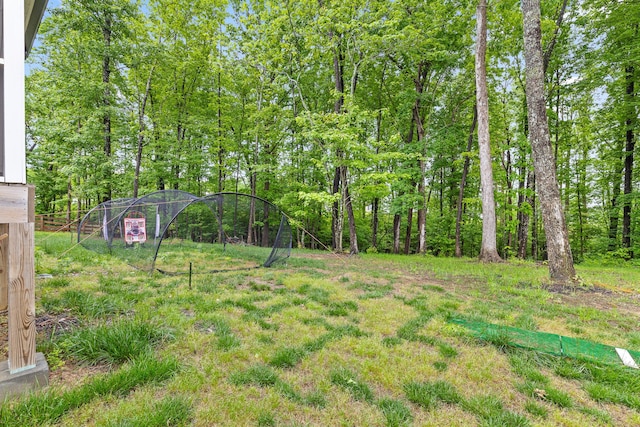 7258 Grey Hawk Trl, Signal Mountain, TN 37377 - view of yard