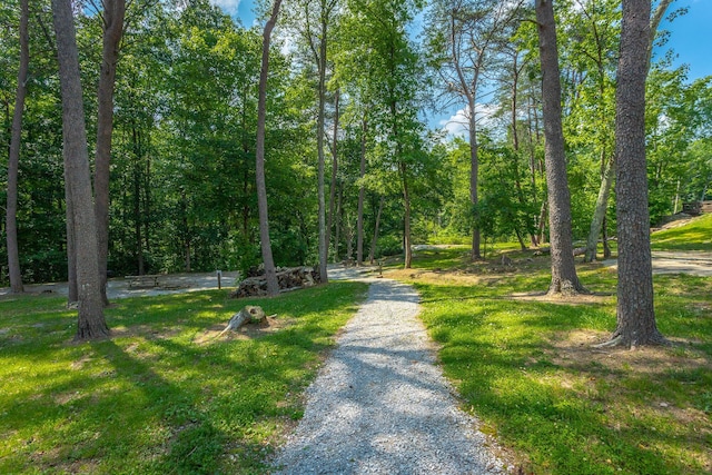 7258 Grey Hawk Trl, Signal Mountain, TN 37377 - view of road