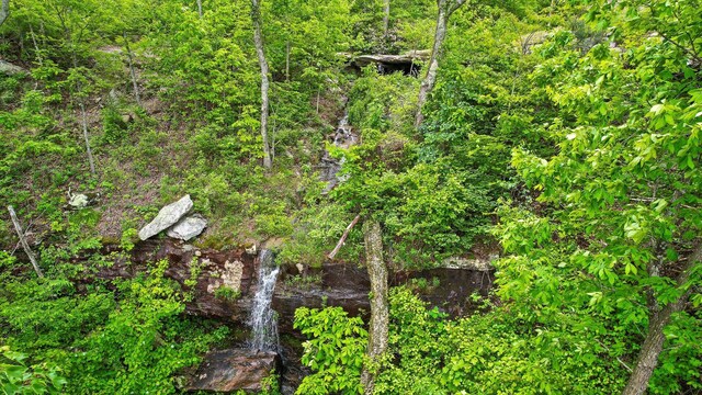 6835 Jasper Highlands Blvd, Jasper, TN 37347 - view of nature