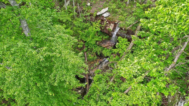 6835 Jasper Highlands Blvd, Jasper, TN 37347 - view of local wilderness