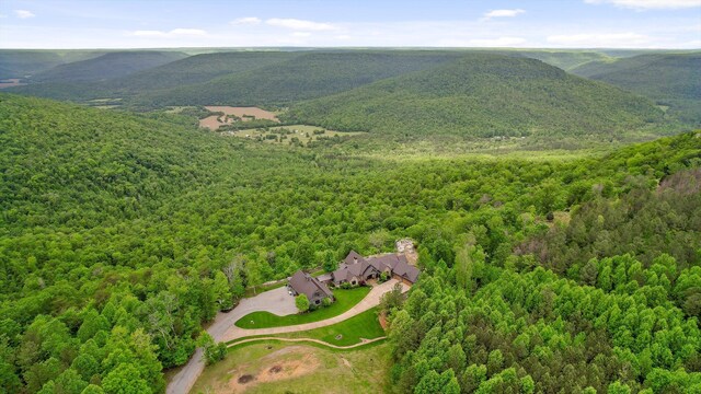 6835 Jasper Highlands Blvd, Jasper, TN 37347 - aerial view of a forest and mountains