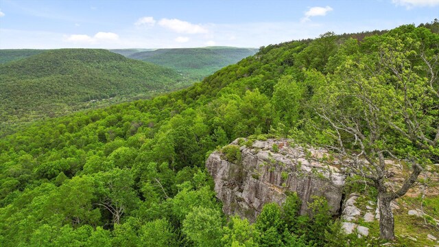 6835 Jasper Highlands Blvd, Jasper, TN 37347 - view of mountain backdrop with a forest