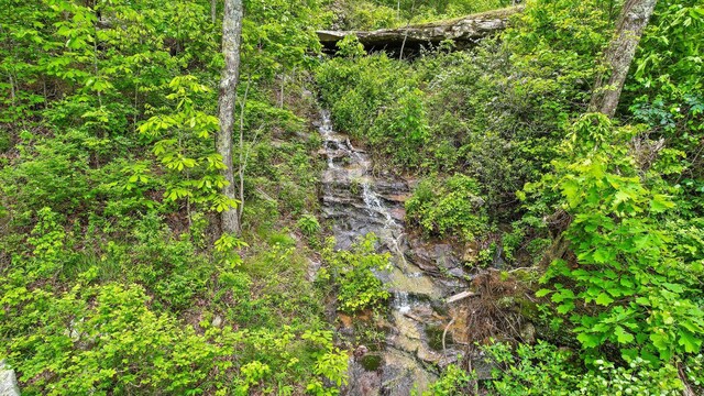 6835 Jasper Highlands Blvd, Jasper, TN 37347 - view of local wilderness