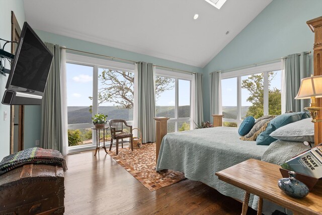 6835 Jasper Highlands Blvd, Jasper, TN 37347 - bedroom with high vaulted ceiling, wood finished floors, a skylight, recessed lighting, and access to exterior