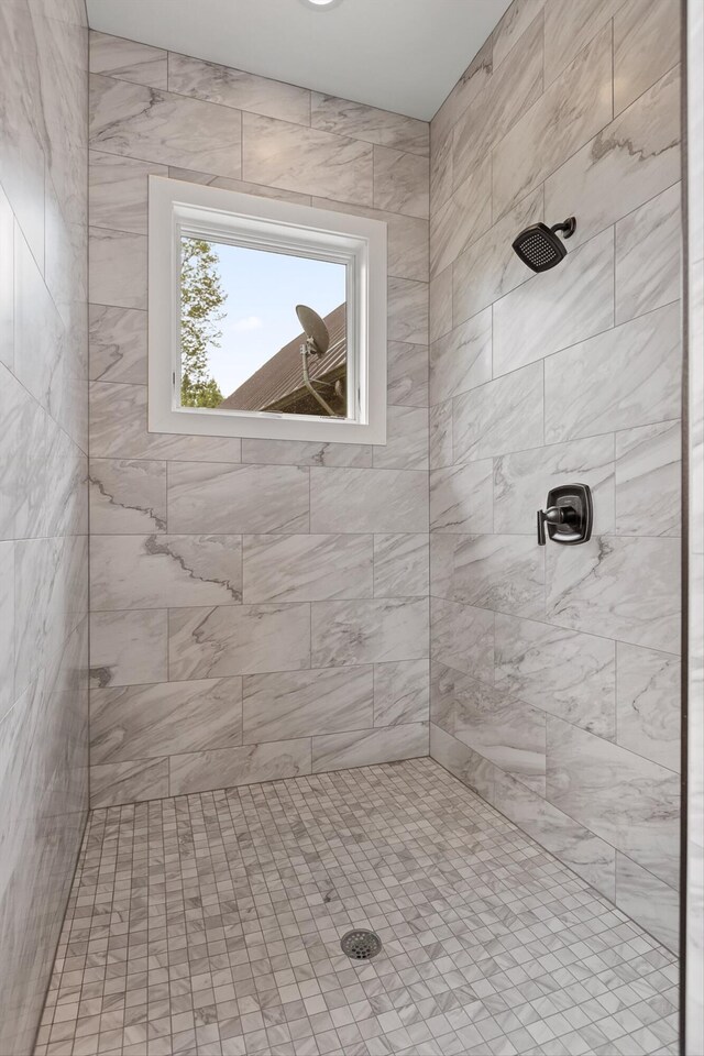 6835 Jasper Highlands Blvd, Jasper, TN 37347 - bathroom featuring a tile shower