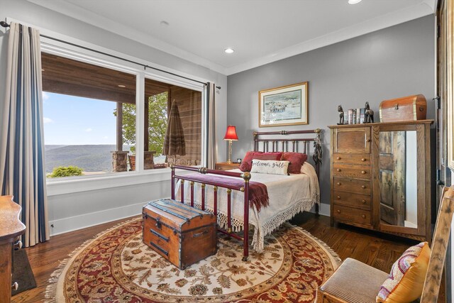 6835 Jasper Highlands Blvd, Jasper, TN 37347 - bedroom featuring baseboards, wood finished floors, and recessed lighting