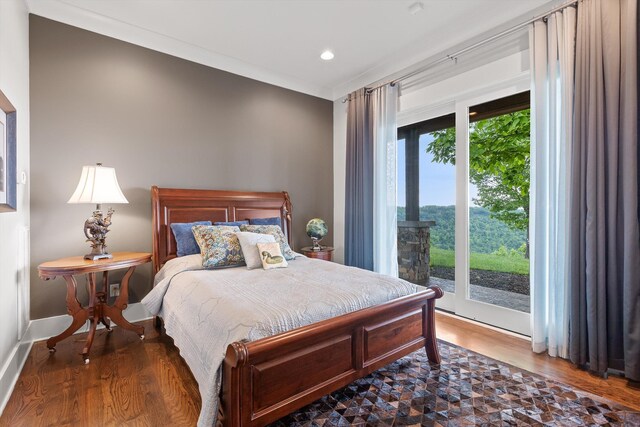 6835 Jasper Highlands Blvd, Jasper, TN 37347 - bedroom featuring access to outside, wood finished floors, and recessed lighting