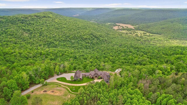 6835 Jasper Highlands Blvd, Jasper, TN 37347 - view of subject property with a forest and a mountain backdrop
