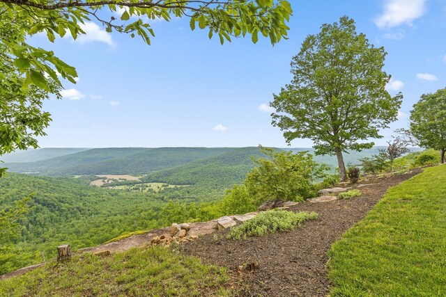 6835 Jasper Highlands Blvd, Jasper, TN 37347 - view of mountain background featuring a heavily wooded area