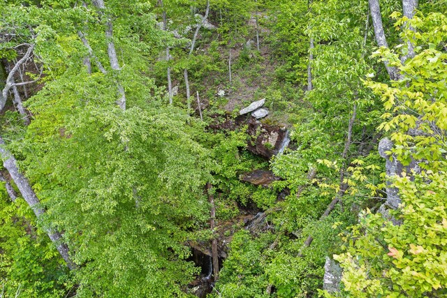 6835 Jasper Highlands Blvd, Jasper, TN 37347 - view of nature