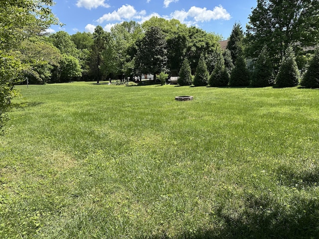 view of grassy yard