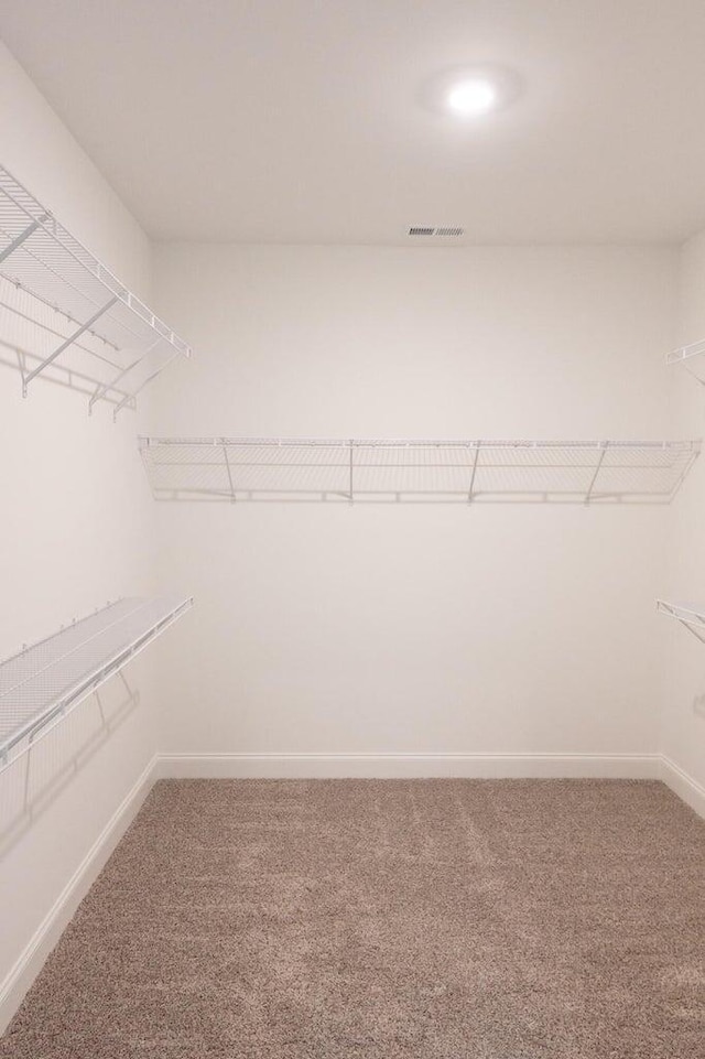 8880 Knolling Loop Unit 35, Ooltewah, TN 37363 - walk in closet with carpet floors