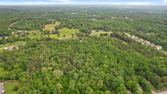 bird's eye view of a forest