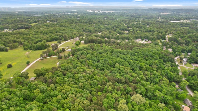aerial view of a forest