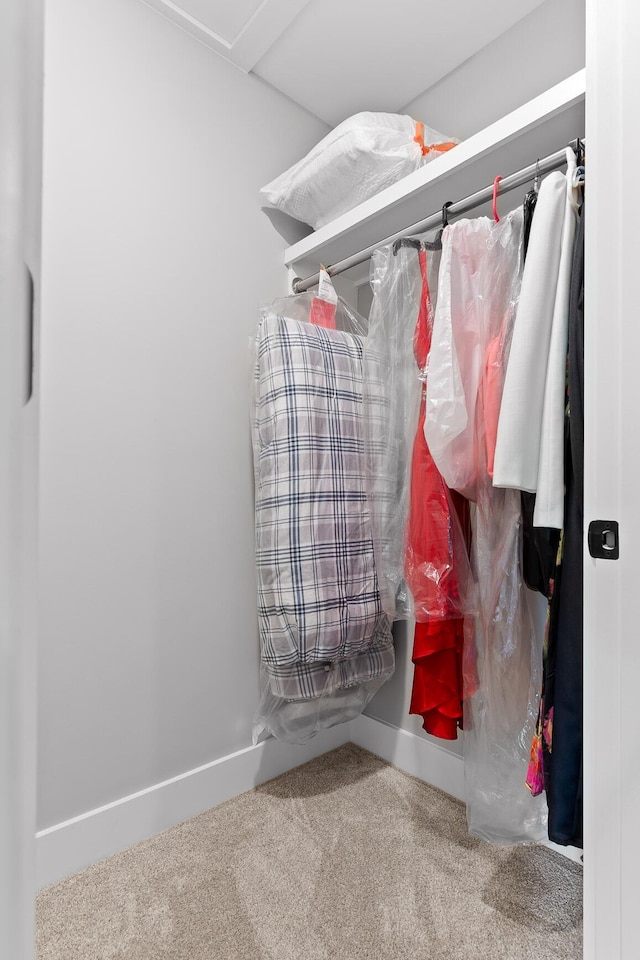 spacious closet with carpet flooring