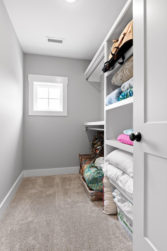 walk in closet with carpet flooring