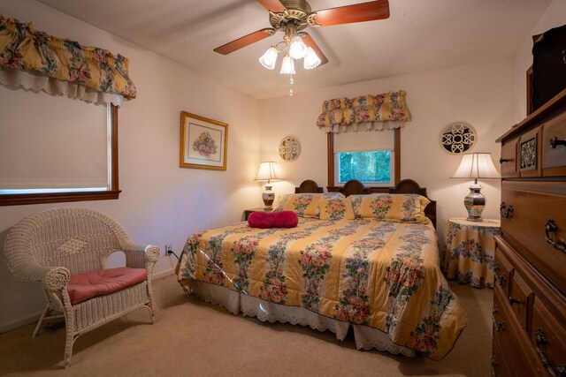 1106 Browns Ferry Rd, Chattanooga, TN 37419 - carpeted bedroom with ceiling fan and baseboards