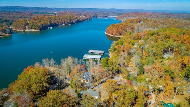1616 Crappie Cir, Soddy Daisy, TN 37379 - bird's eye view of a heavily wooded area and a large body of water