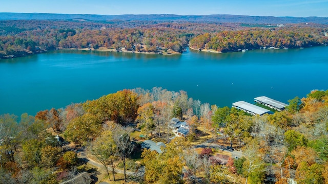 1616 Crappie Cir, Soddy Daisy, TN 37379 - bird's eye view of a forest and a nearby body of water