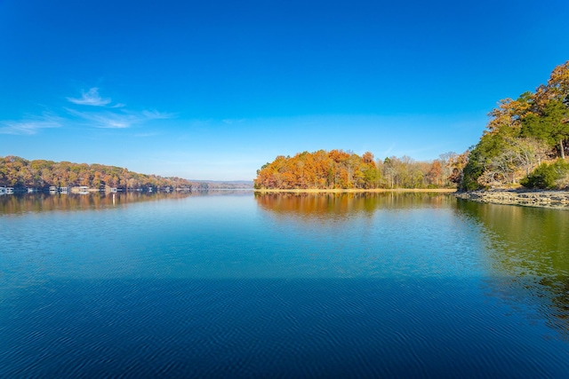 1616 Crappie Cir, Soddy Daisy, TN 37379 - water view featuring a forest
