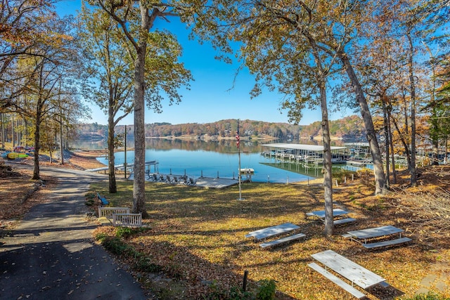 1616 Crappie Cir, Soddy Daisy, TN 37379 - water view with a boat dock