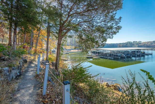 1616 Crappie Cir, Soddy Daisy, TN 37379 - dock with a water view