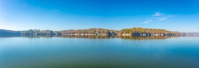1616 Crappie Cir, Soddy Daisy, TN 37379 - water view with a heavily wooded area