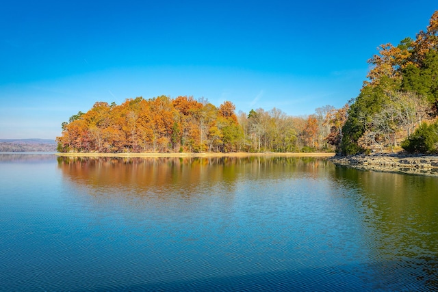1616 Crappie Cir, Soddy Daisy, TN 37379 - water view with a forest