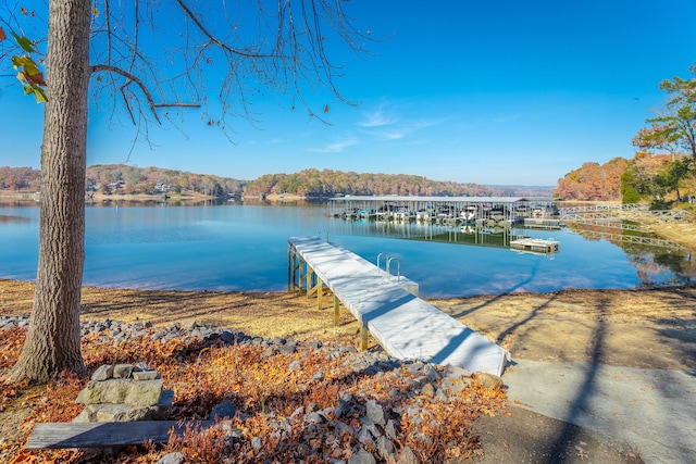 1616 Crappie Cir, Soddy Daisy, TN 37379 - dock featuring a water view