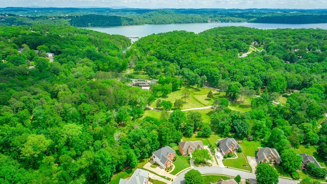 drone / aerial view of a forest and a nearby body of water