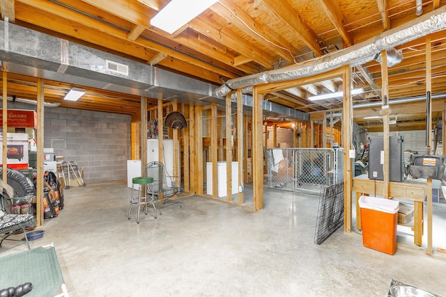 unfinished basement featuring concrete block wall