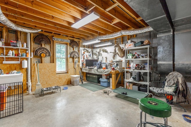 basement with a workshop area