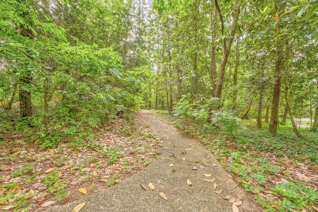 1301 W Morton Dr, Dalton, GA 30720 - view of street featuring a wooded view