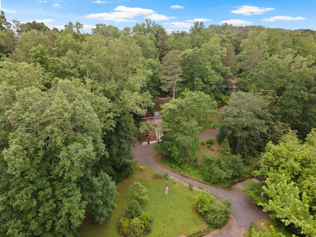 1123 Ridgeleigh Cir, Dalton, GA 30720 - aerial overview of property's location with a forest