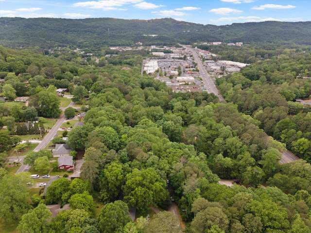 1123 Ridgeleigh Cir, Dalton, GA 30720 - aerial view of a heavily wooded area and a mountain backdrop