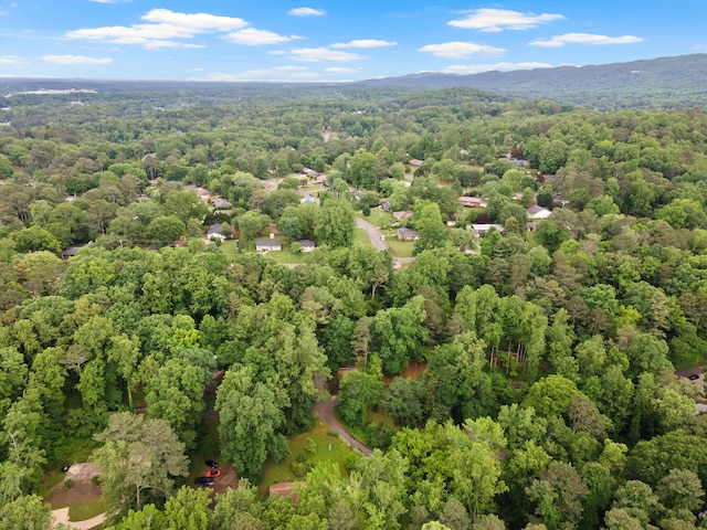 1123 Ridgeleigh Cir, Dalton, GA 30720 - bird's eye view of a forest and mountains