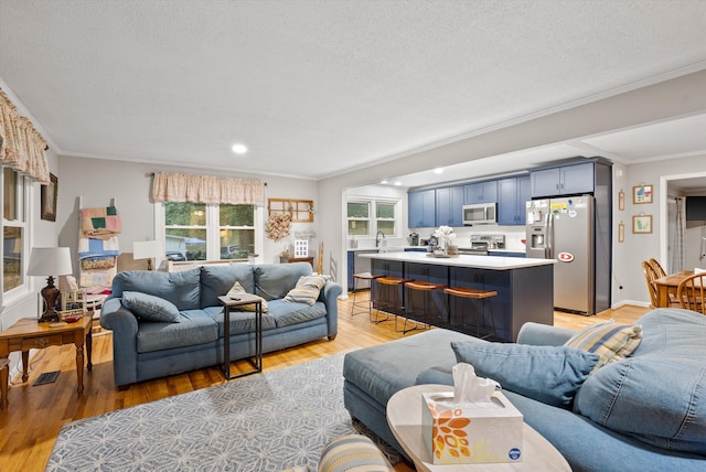 1123 Ridgeleigh Cir, Dalton, GA 30720 - living area featuring light wood-style flooring, ornamental molding, a textured ceiling, and recessed lighting