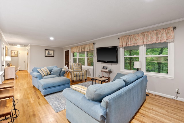 1123 Ridgeleigh Cir, Dalton, GA 30720 - living area featuring crown molding, light wood-type flooring, and baseboards