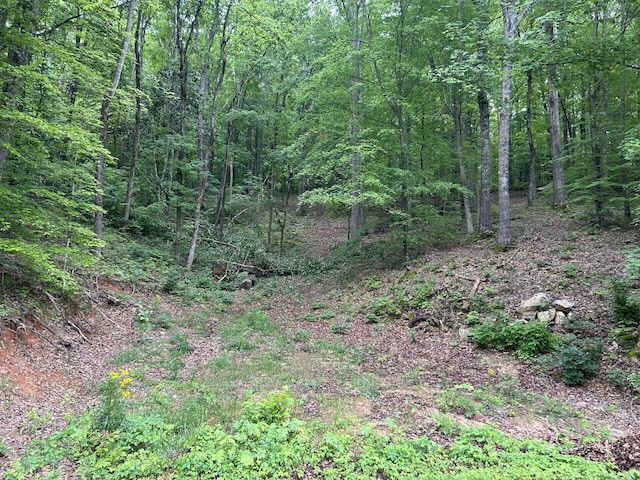 0 Candies Creek Ridge Rd NW, Cleveland TN, 37312 land for sale