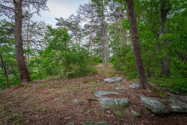 926 Montlake Rd, Soddy Daisy, TN 37379 - photo 8