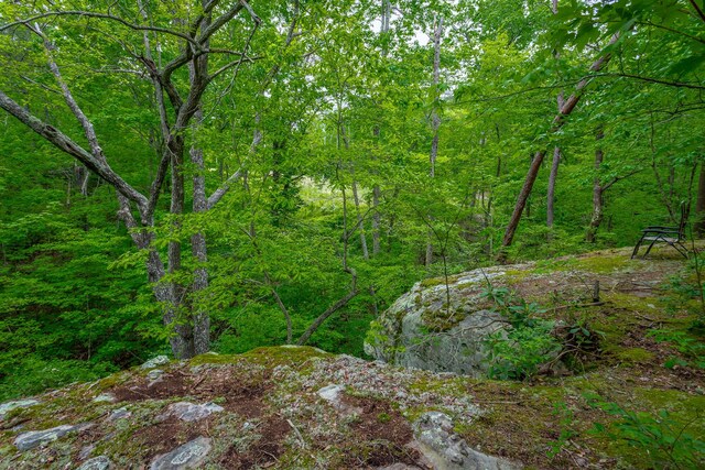 926 Montlake Rd, Soddy Daisy, TN 37379 - photo 17