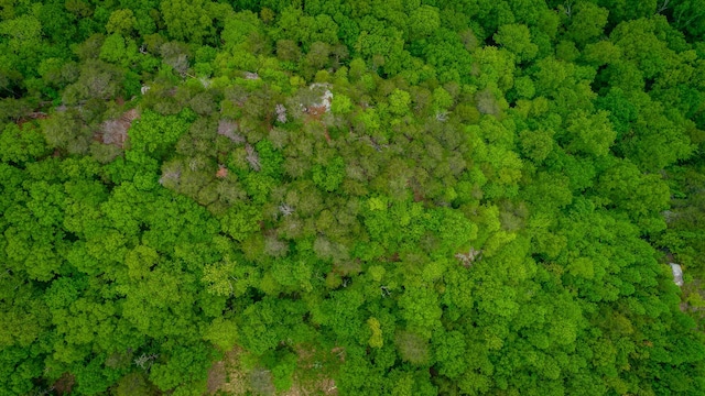 926 Montlake Rd, Soddy Daisy, TN 37379 - photo 28