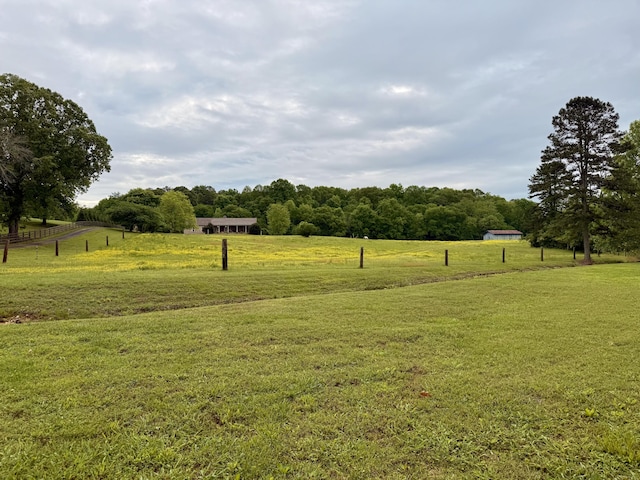 667 Chandler Rd, Chickamauga, GA 30707 - photo 3